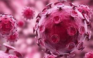 厚朴方舟是专业的出国看病医疗服务机构,为患者整合美国日本及国外hpv