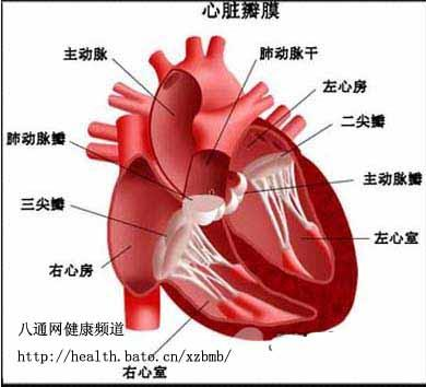 美国治疗心脏瓣膜病的方法