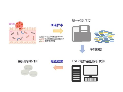日本开发出验血查肺癌基因的高灵敏度技能