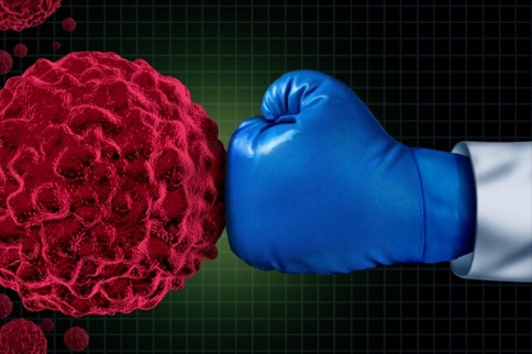 脂质信号传导途径可以增强T细胞介导的免疫治疗方法方法方法