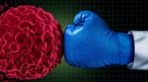 出国看病：研究发现免疫细胞中存在肿瘤抑制子