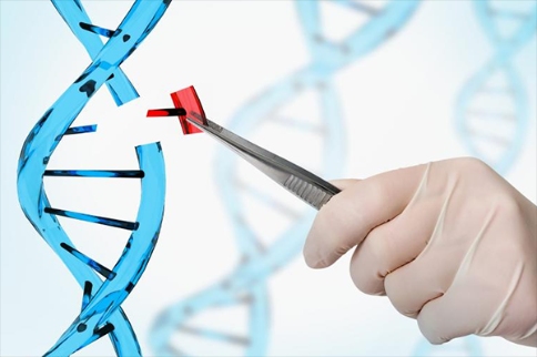 CRISPR基因编辑技能