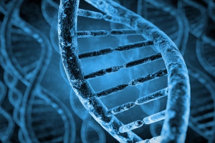 基因组的非编码区是一段不编码蛋白质的DNA序列