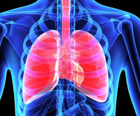 出国看病：机械力对肺部免疫反应具有一定影响，或为肺纤维化治疗提供方向！