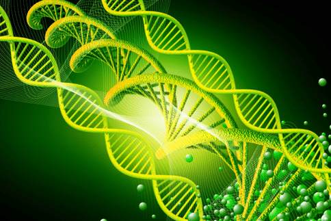 “垃圾DNA”与癌症风险密切相关，或可开发出新型癌症治疗方法