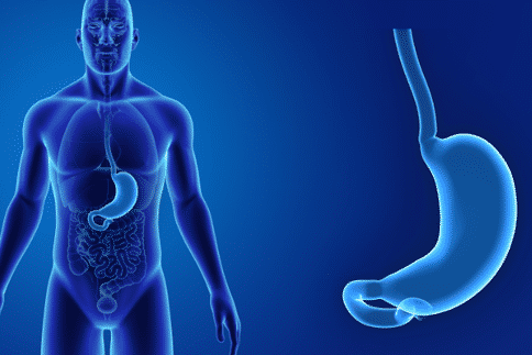 美国一项研究为常见和致命的胃食道癌治疗提供了重要的新见解！