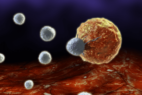 新研究指出纳米铜化合物和免疫治疗方法方法结合可以有效杀死癌细胞