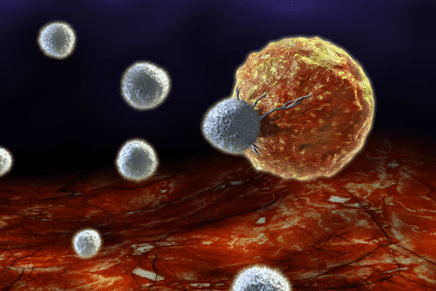 科学家发现肿瘤细胞中的B细胞如何促进良好的免疫治疗方法反应