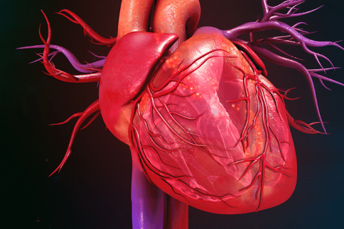 美国治疗心脏瓣膜病的方法