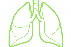 慢阻肺治疗技术,慢阻肺治疗,慢阻肺三联治疗方案