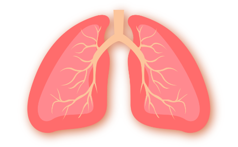 肺癌晚期治疗