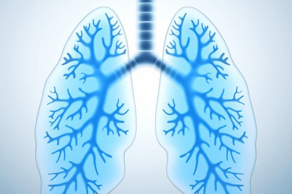 肺癌双免疫治疗方法