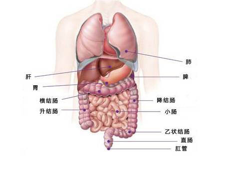 结肠癌治疗