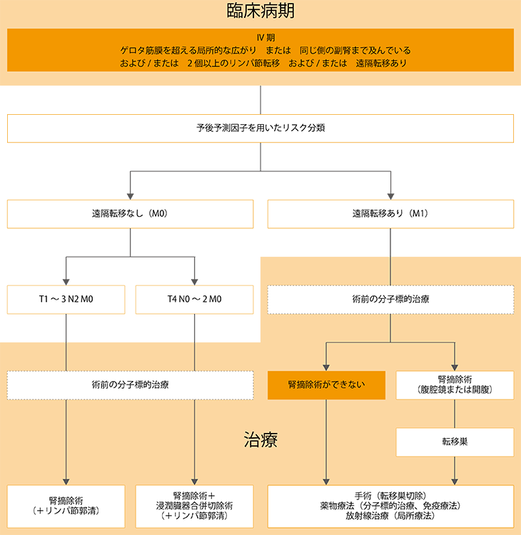 肾癌晚期治疗方案