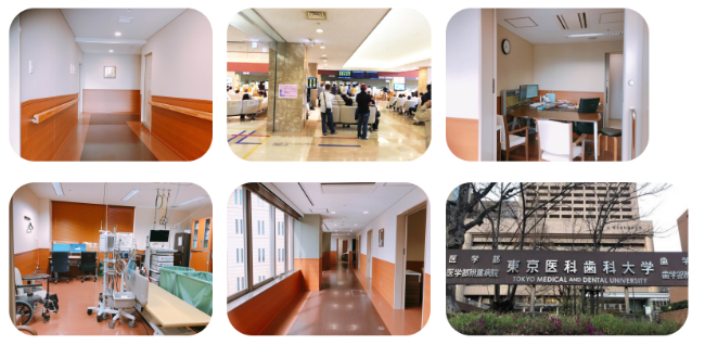 东京医科齿科大学附属医院 医院介绍 地址 电话 就医预约 厚朴方舟