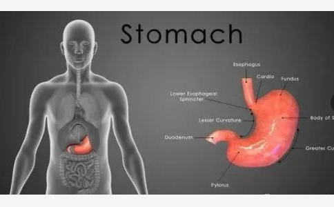 胃黏膜癌前病变