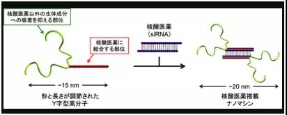 癌症治疗