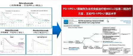 肺癌免疫治疗