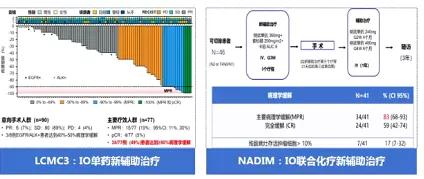 肺癌免疫治疗