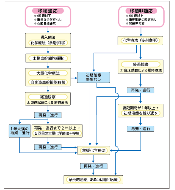 日本治疗多发性骨髓瘤