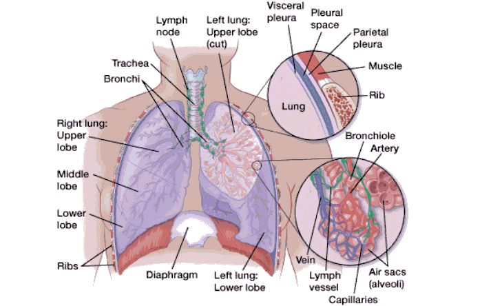肺癌常见症状