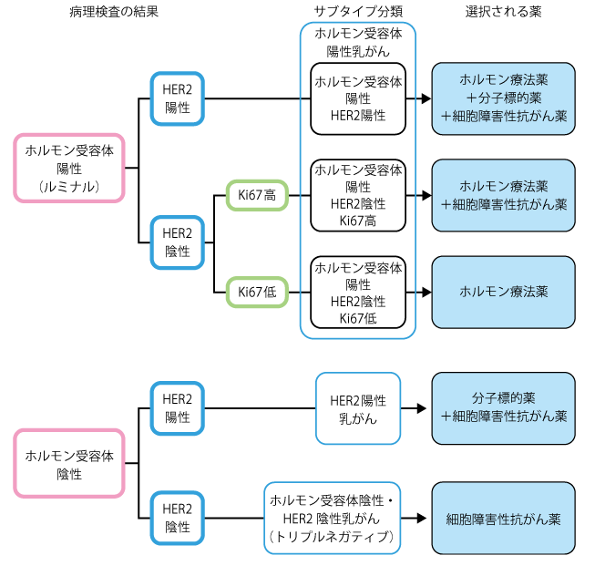 乳腺癌分类