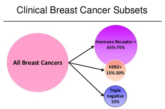 三阴性乳腺癌治疗方法