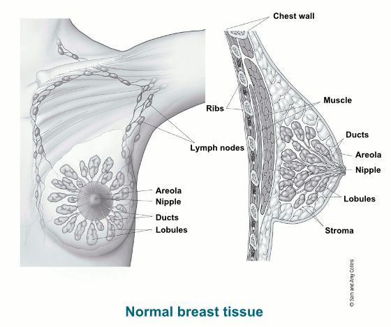 乳腺癌内分泌治疗