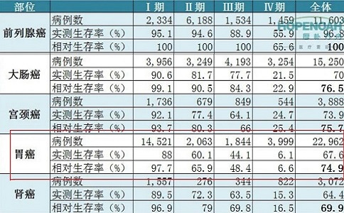 胃癌日本看病流程，胃癌日本看病费用