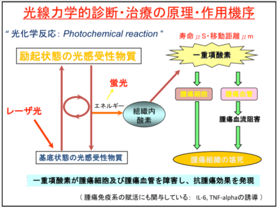 光动力治疗方法