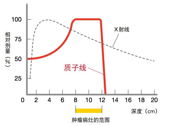 质子射线剂量分布