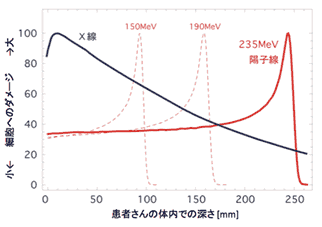 pbt02.gif