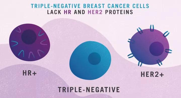 三阴性乳腺癌靶向治疗