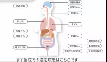 重离子治疗专家