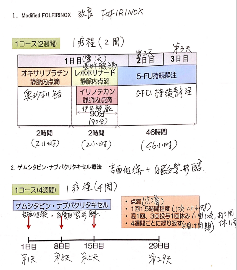 用药方案