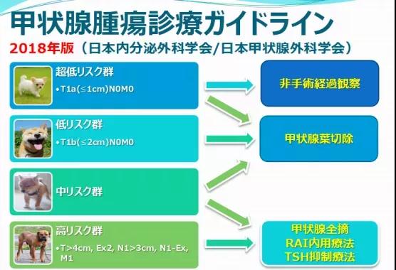 甲状腺癌治疗