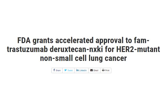 非小细胞肺癌HER2靶向药