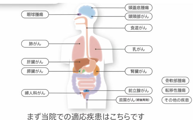 日本看病质子重离子