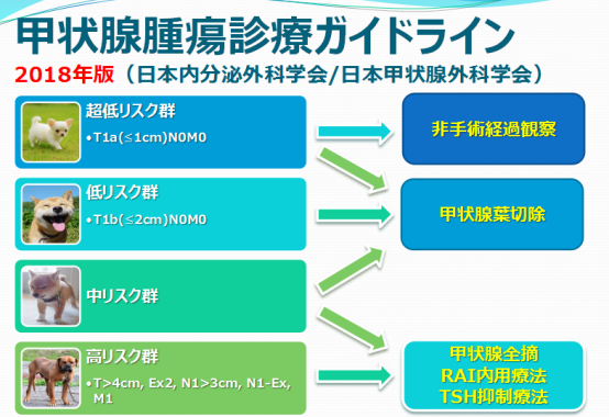 甲状腺癌日本看病效果好吗-甲状腺癌海外治疗方案介绍