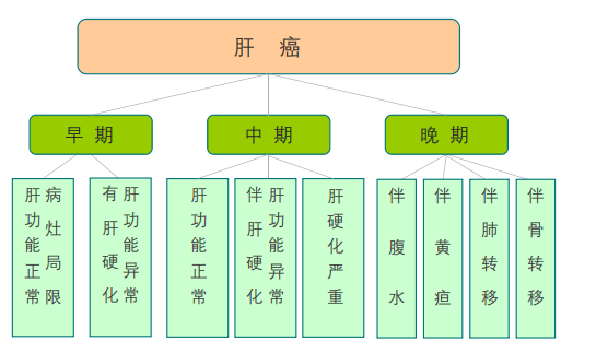 中晚期肝癌日本看病