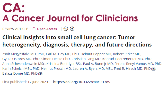 小细胞肺癌出国看病-小细胞肺癌国外治疗新进展