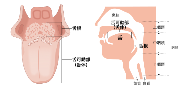 日本治疗口腔癌