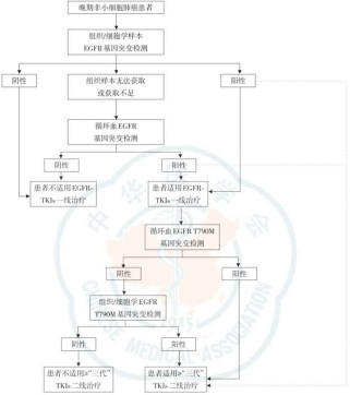 中国医学会配图