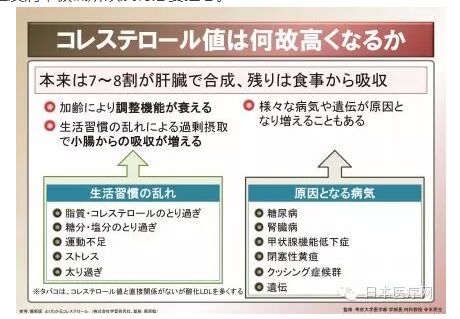 日本体检