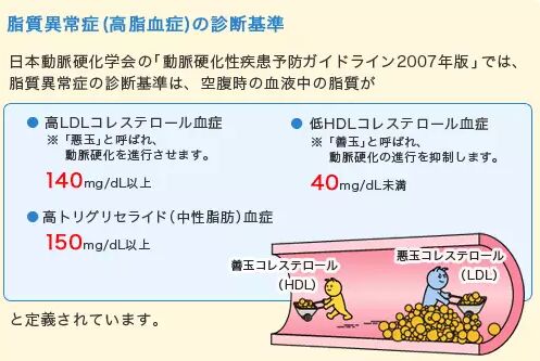 日本体检