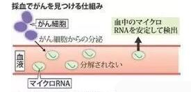 日本癌症治疗，厚朴方舟