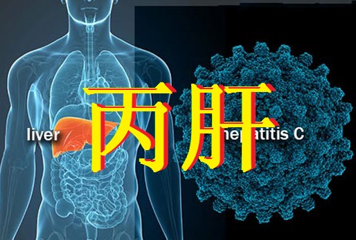 <a href='/'>海外医疗</a>，厚朴方舟