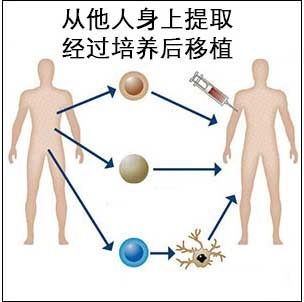 <a href='/'>出国看病</a>