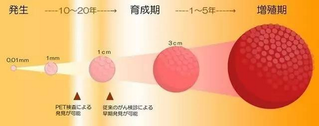 <a  data-cke-saved-href='/' href='/'>海外医疗</a>