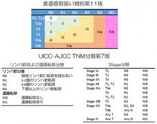 食道癌就医动态,食道癌治疗医院,食道癌医院